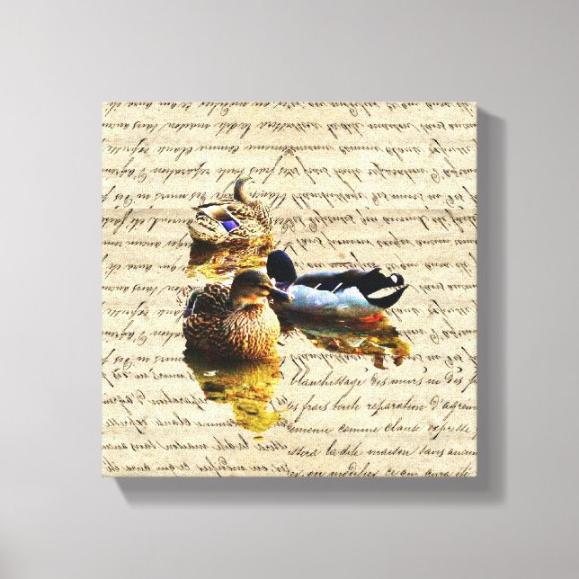 Enten auf Vintagem Papier Leinwanddruck (Vorderseite)