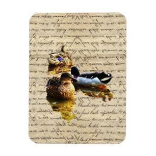 Enten auf Vintagem Papier Magnet