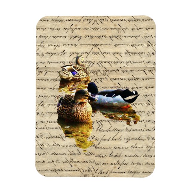 Enten auf Vintagem Papier Magnet (Vertikal)