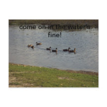 Enten auf Wasser Einladung