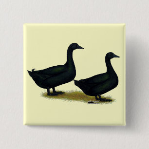 Enten: Black Cayugas Button