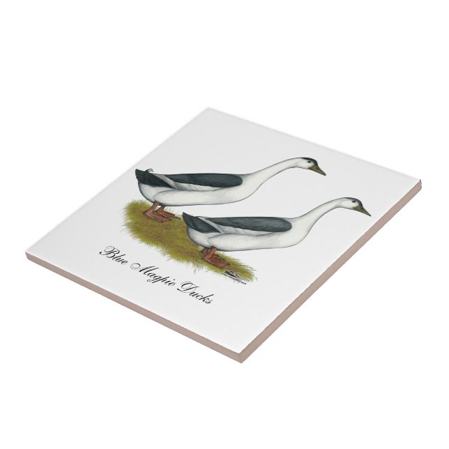 Enten: Blue Magpies Fliese (Seite)