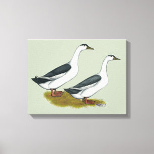 Enten: Blue Magpies Leinwanddruck