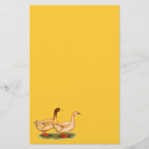 Enten: Buff Orpington Briefpapier