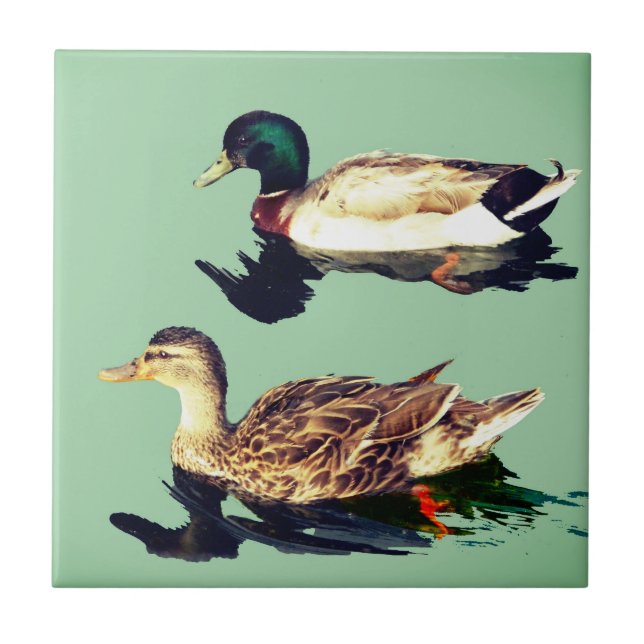 Enten Fliese (Vorderseite)
