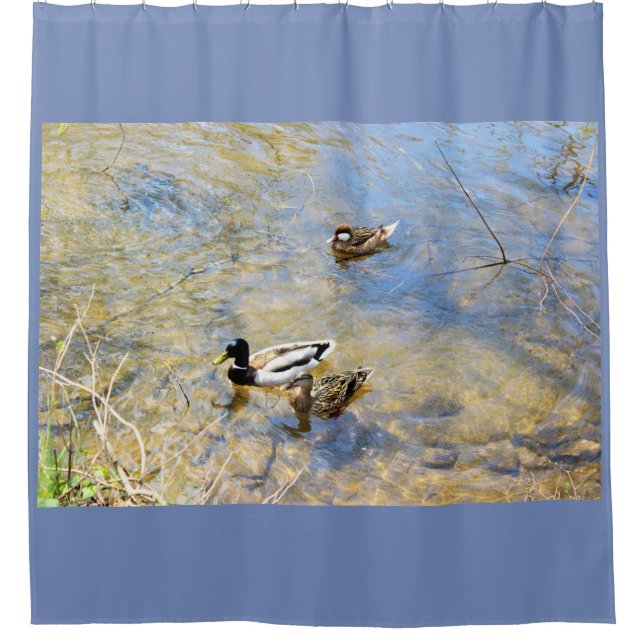 Enten-Foto Duschvorhang (Vorderseite)