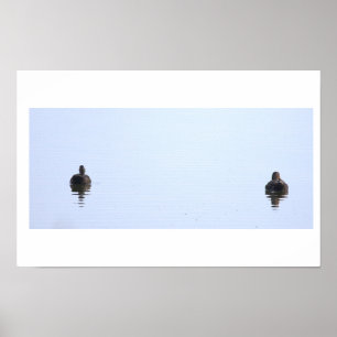 Enten-Foto-Plakat Poster