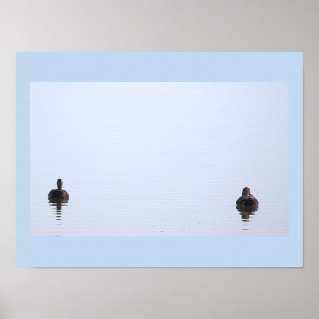 Enten-Foto-Poster Poster (Vorne)