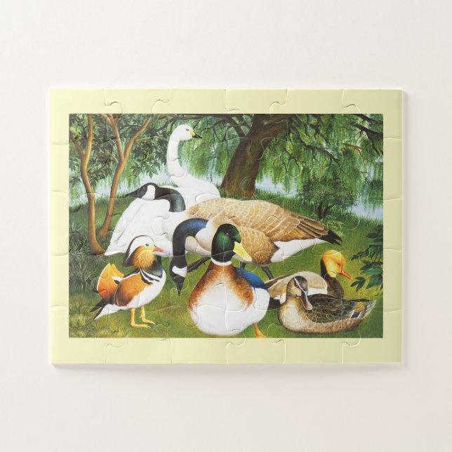 Enten, Gänse und Schwäne (Horizontal)