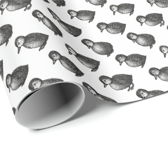 Enten Geschenkpapier (Rolleneckpunkt)