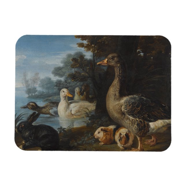 Enten Guinea Schweine und ein Kaninchen in einem b Magnet (Horizontal)