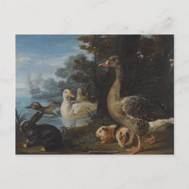 Enten Guinea Schweine und ein Kaninchen in einem b Postkarte (Vorderseite)