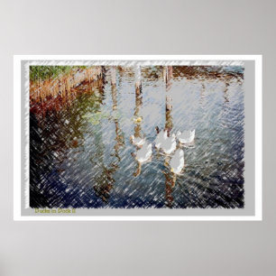 Enten im Dock ll Poster