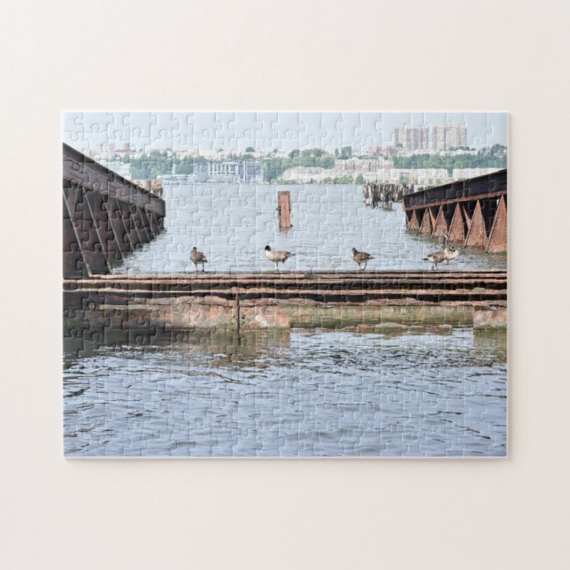 Enten im Hudson River New York City Fotograf (Horizontal)