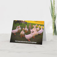 Enten im Park Funny Duck Joke Geburtstag