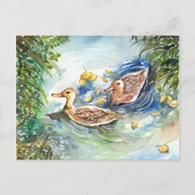 Enten im Teich Postkarte (Vorderseite)