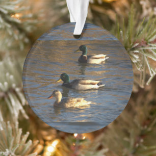 Enten im Wasser Ornament