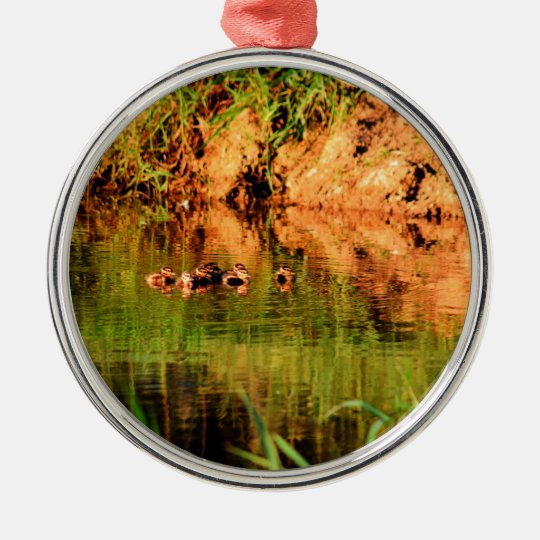 ENTEN IM WASSER QUEENSLAND AUSTRALIEN RUNDES SILBERFARBENES ORNAMENT