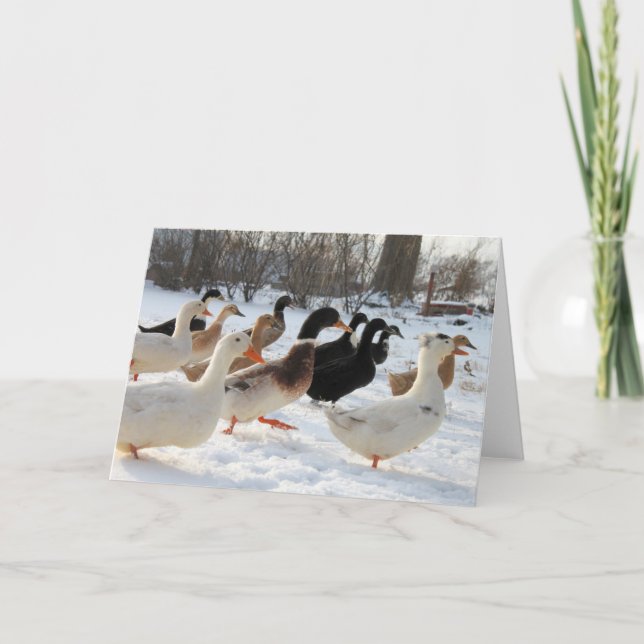 Enten im Winter Snow Grußkarte Karte (Vorderseite)