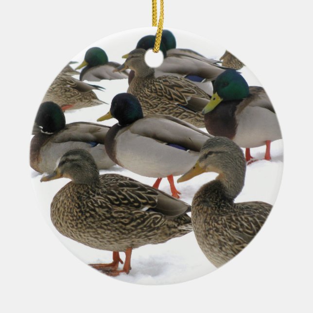 Enten in der Schnee-Verzierung Keramik Ornament (Vorne)