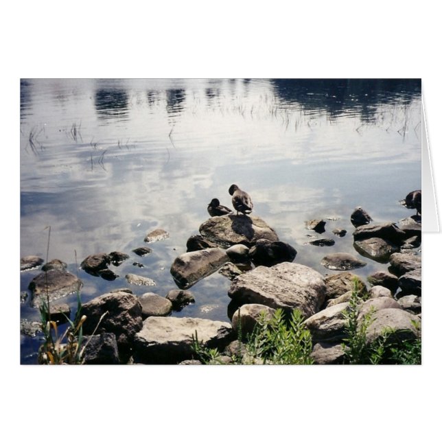 Enten in einem Fluss (Vorderseite (Horizontal))