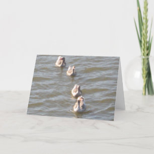 Enten in einer Reihe Karte