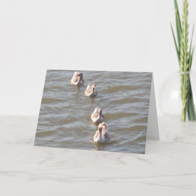 Enten in einer Reihe Karte (Vorderseite)