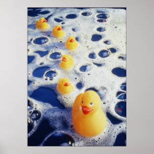 Enten in einer Reihe Poster