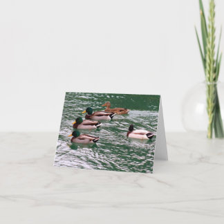 Enten in einer Row-Note-Karte (leer) Karte