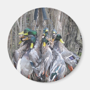 Enten-Jagdstockentengrenze Magnet