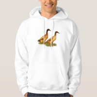 Enten: Kakifarbiger Campbell