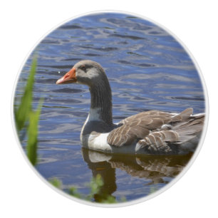 Enten-Keramik-Griff Keramikknauf
