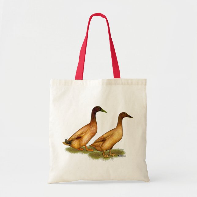 Enten: Khaki Campbell Tragetasche (Vorne)