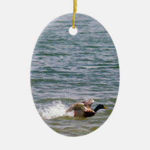 Enten-Landung im Wasser Keramik Ornament