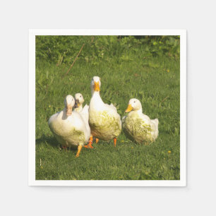 Enten, lebend, Wiese, Tier, Bauernhof, Landleben, Serviette