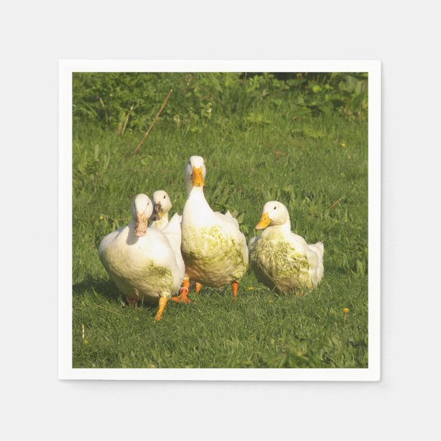 Enten, lebend, Wiese, Tier, Bauernhof, Landleben, Serviette (Vorderseite)