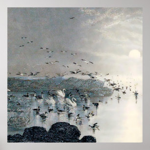 Enten, Mallards und Schwäne am See bei Sonnenunter Poster