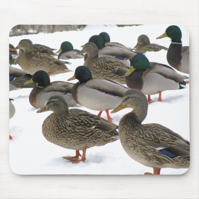 Enten! Mousepad (Vorne)