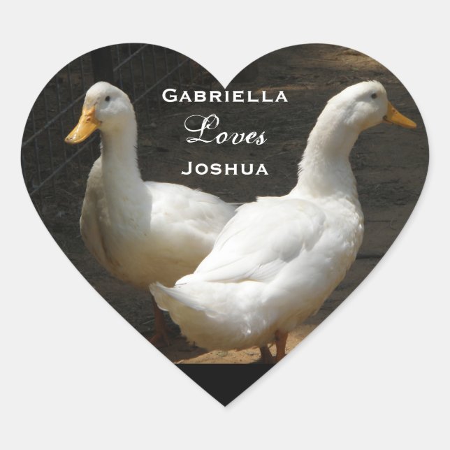 Enten-Paare: Liebe-Aufkleber Herz-Aufkleber (Vorderseite)