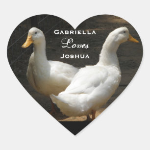 Enten-Paare: Liebe-Aufkleber Herz-Aufkleber