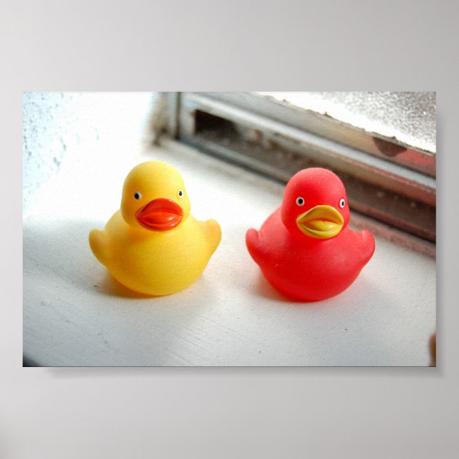 Enten Poster (Vorne)