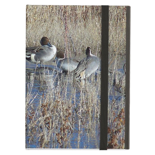 Enten Powis iCase (Vorderseite Geschlossen)