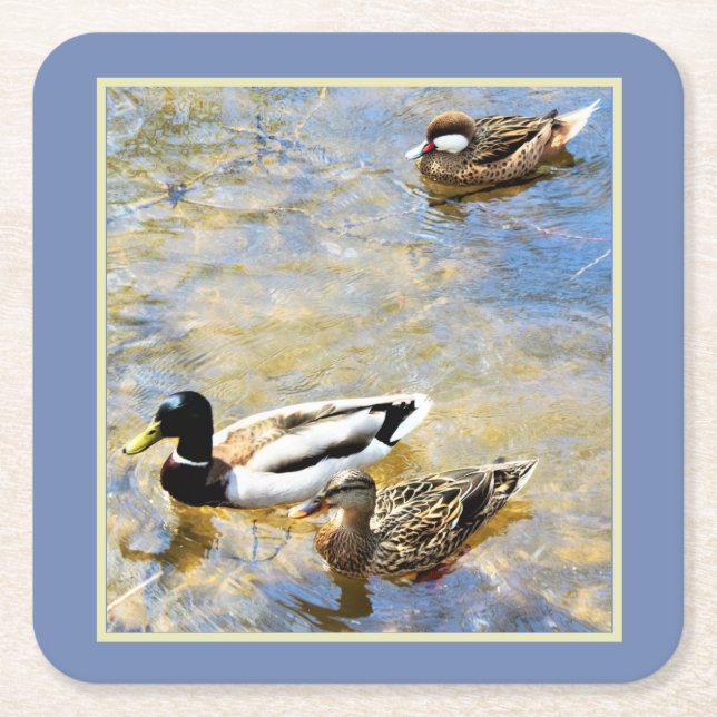 Enten Rechteckiger Pappuntersetzer (Vorderseite)