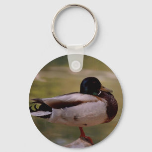 Enten-Schlüsselanhänger Schlüsselanhänger