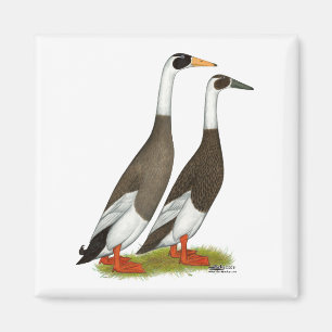 Enten:  Schmirgel-fein gezeichnet Läufer Magnet