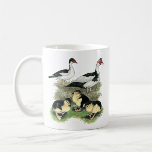 Enten Schwarz Gefleckte Warzenente Familie Kaffeetasse