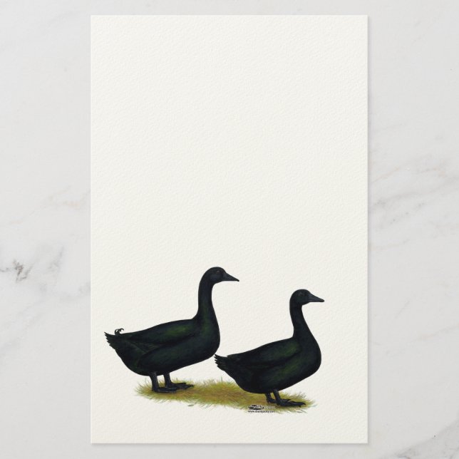 Enten: Schwarze Cayugas Briefpapier (Vorderseite)