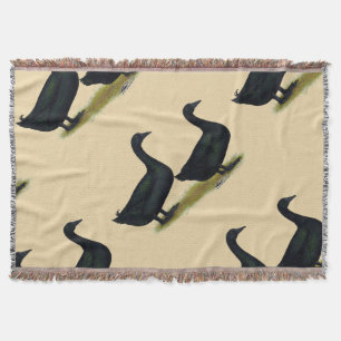 Enten: Schwarze Cayugas Decke