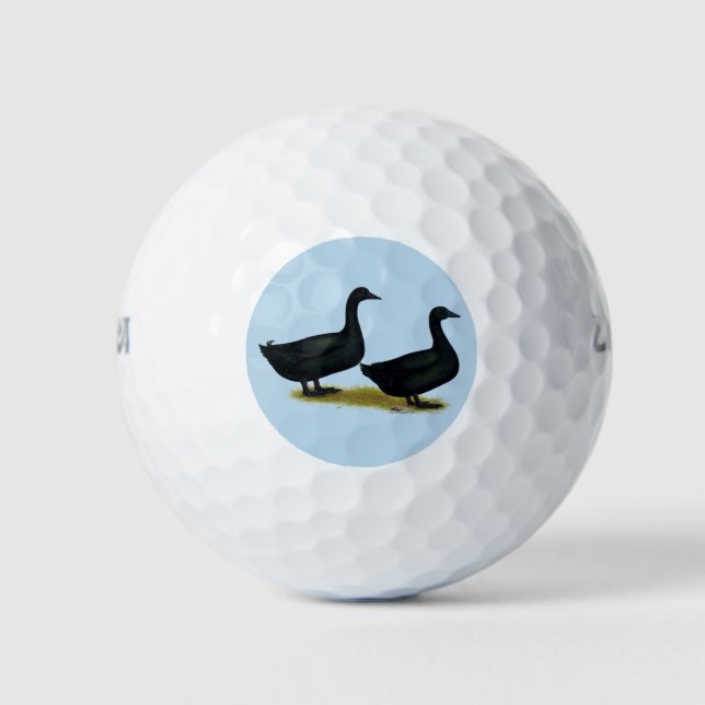 Enten: Schwarze Cayugas Golfball (Vorderseite)