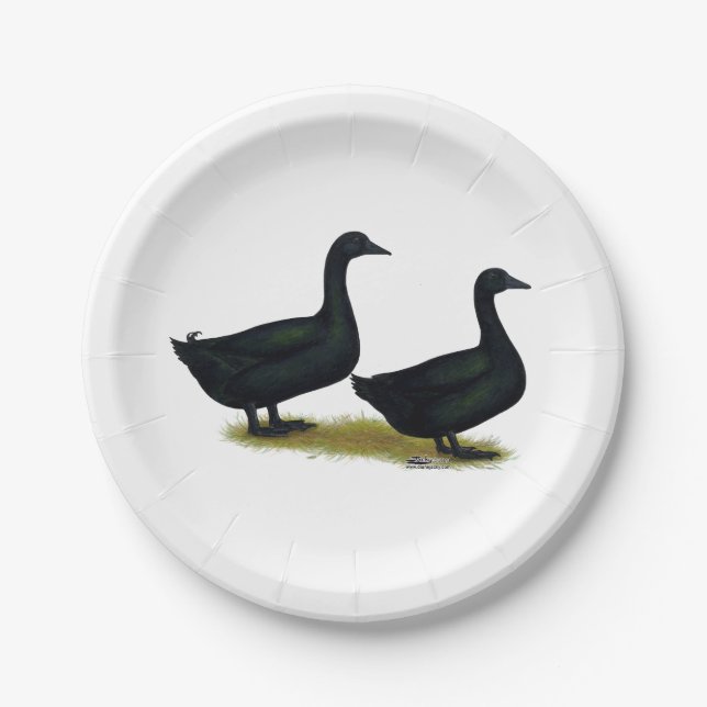 Enten: Schwarze Cayugas Pappteller (Vorderseite)